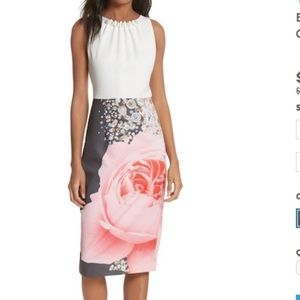 Ted Baker Body con style dress! Ted Baker size 2